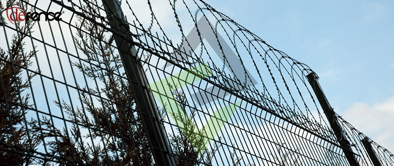 Planary Razor Wire 
